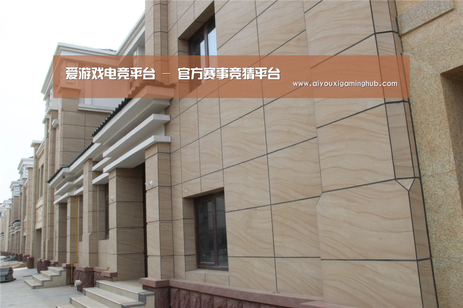 山东湖滨泰和公馆(图1)