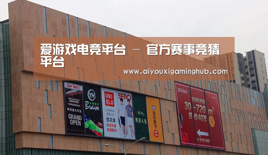 龙湖 · 金楠天街(图1)