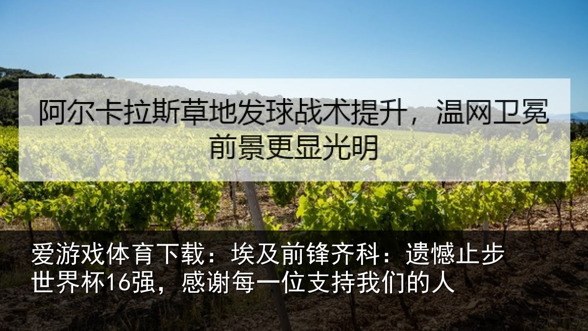 爱游戏体育下载：埃及前锋齐科：遗憾止步世界杯16强，感谢每一位支持我们的人