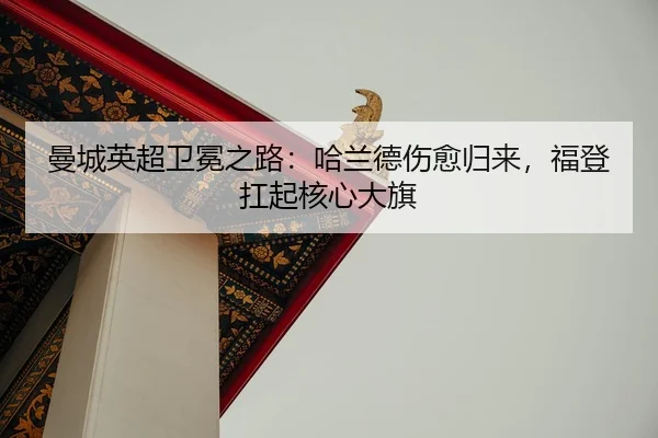 man-cheng-ying-chao-wei-mian-zhi-lu-ha-lan-de-shang-yu-gui-lai-fu-deng-kang-qi-he-xin-da-qi-2-982.jpg