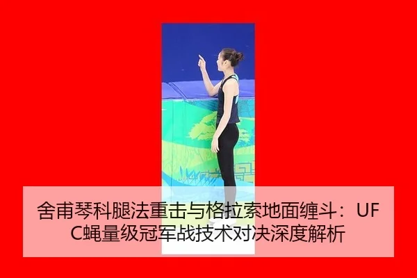 舍甫琴科腿法重击与格拉索地面缠斗：UFC蝇量级冠军战技术对决深度解析