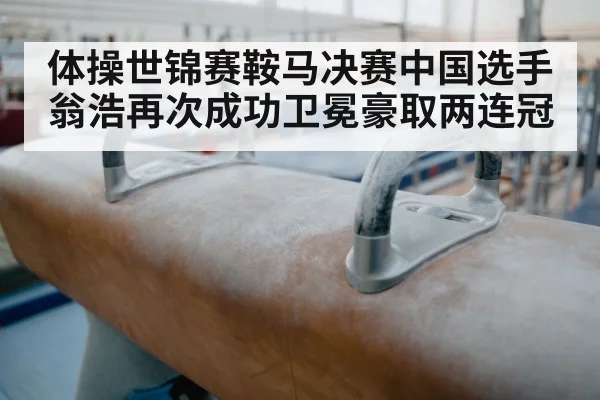 体操世锦赛鞍马决赛中国选手翁浩再次成功卫冕豪取两连冠