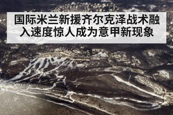 国际米兰新援齐尔克泽战术融入速度惊人成为意甲新现象