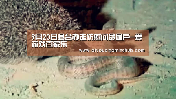 爱游戏竞猜