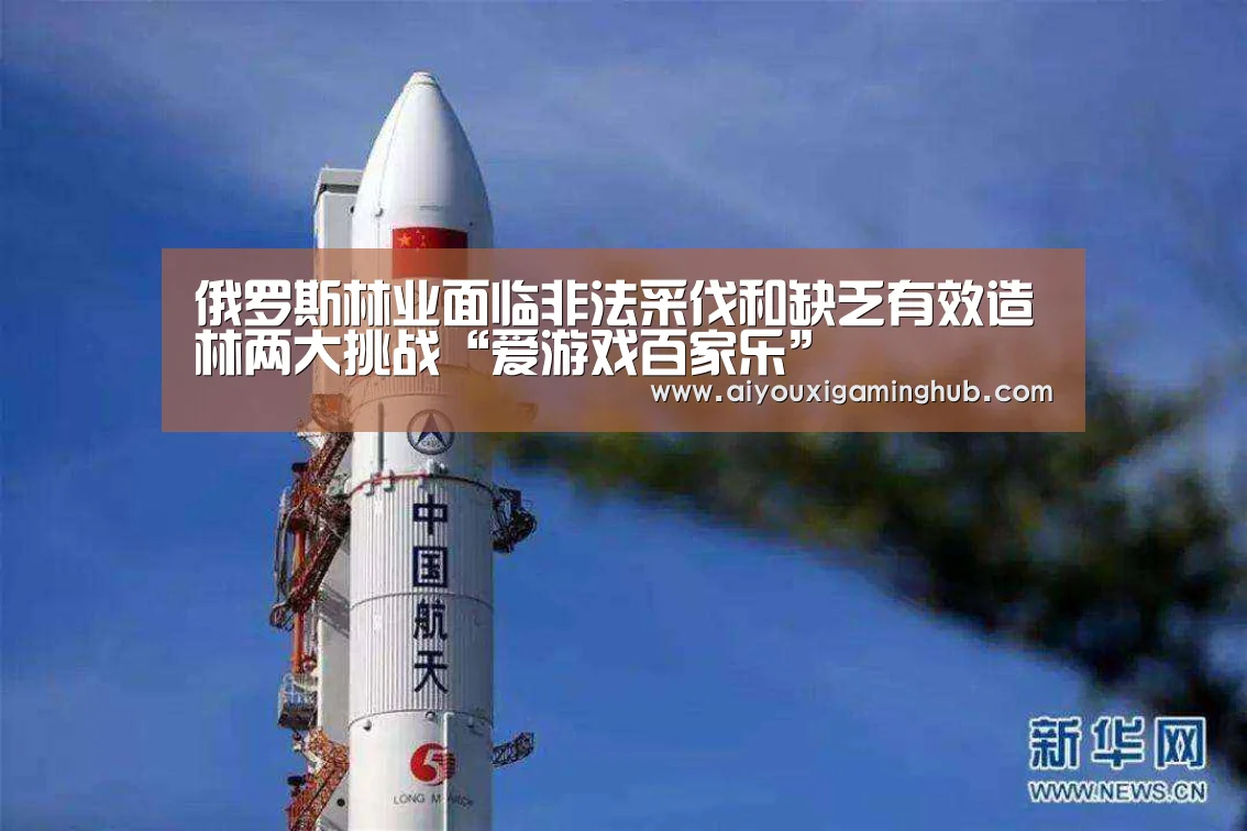 俄罗斯林业面临非法采伐和缺乏有效造林两大挑战“爱游戏百家乐”