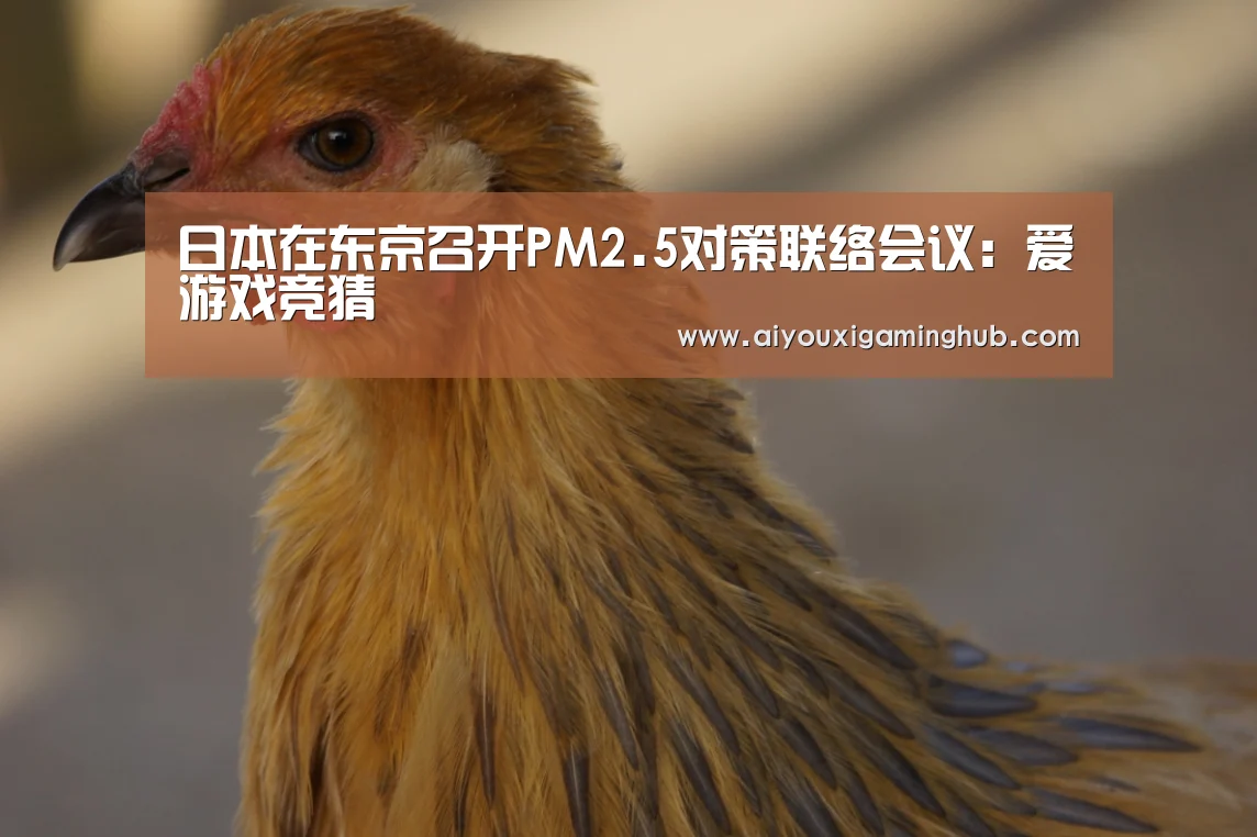 爱游戏百家乐